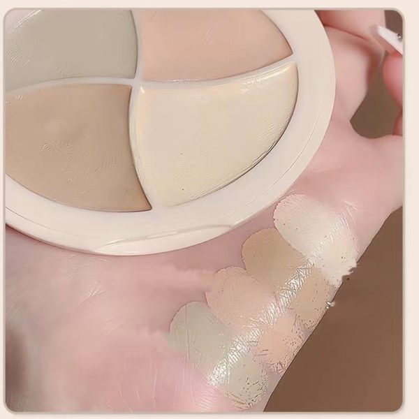 Multi-color Waterproof Concealer Palette