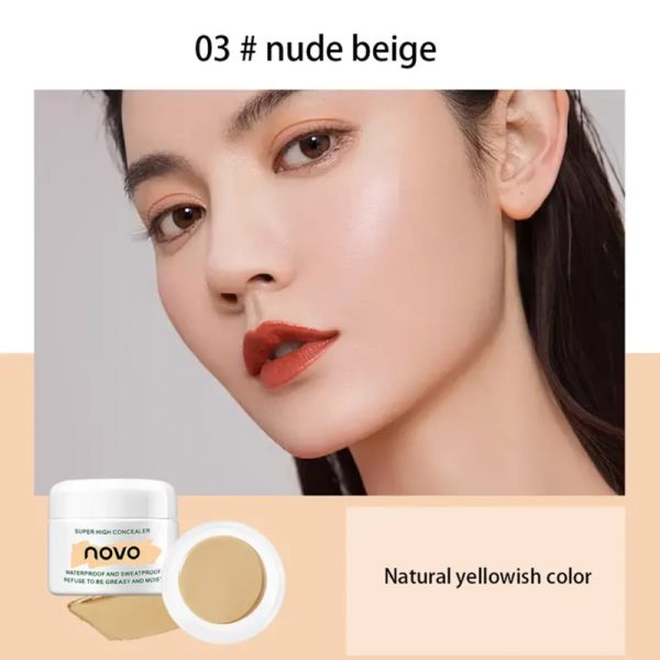 Silky Full Coverage Concealer Cream