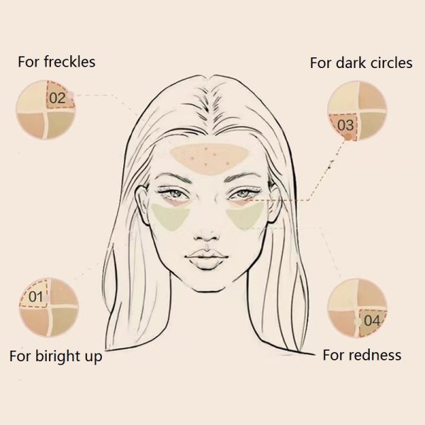 Multi-color Waterproof Concealer Palette