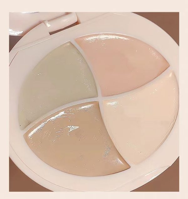 Multi-color Waterproof Concealer Palette
