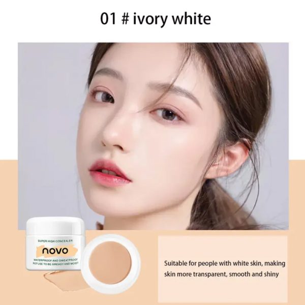 Silky Full Coverage Concealer Cream